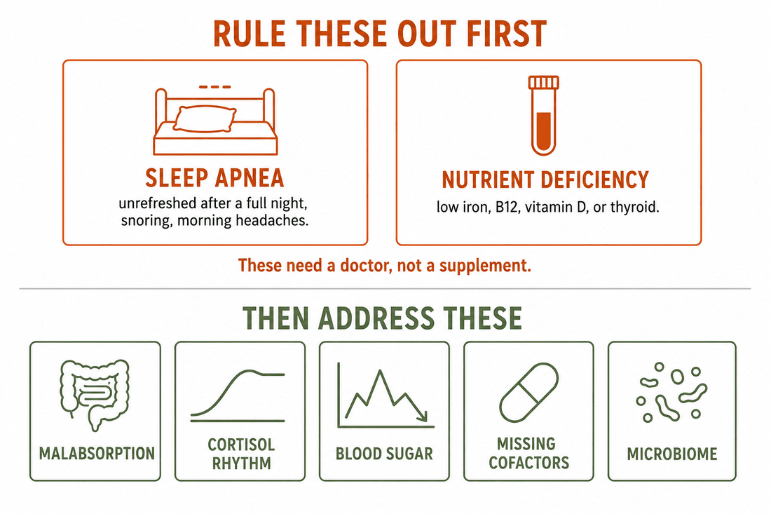 Seven causes of constant fatigue, from sleep apnea and nutrient deficiency to gut absorption and cortisol