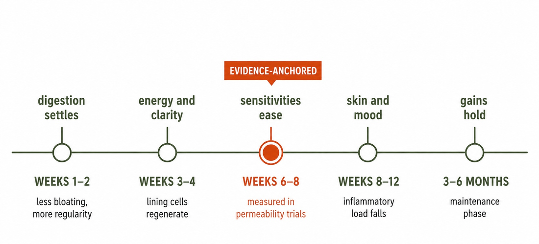 Gut healing timeline from digestive relief in weeks one to two through downstream symptoms by week twelve