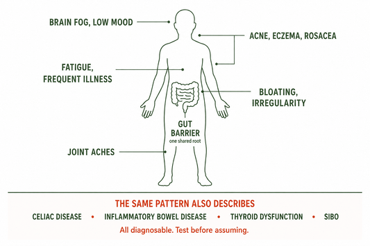Leaky gut symptoms clusters across gut, skin, brain, joints and immunity, and the conditions that mimic it
