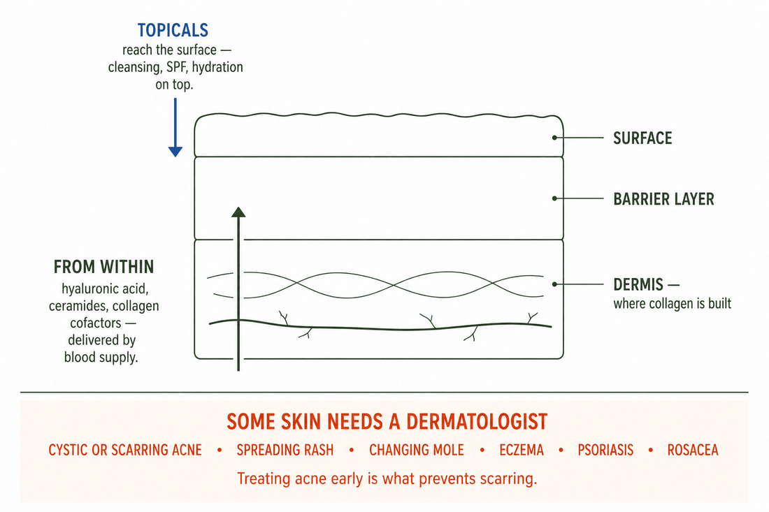 Topical skincare reaches the surface while gut support reaches hydration, barrier and collagen cofactors