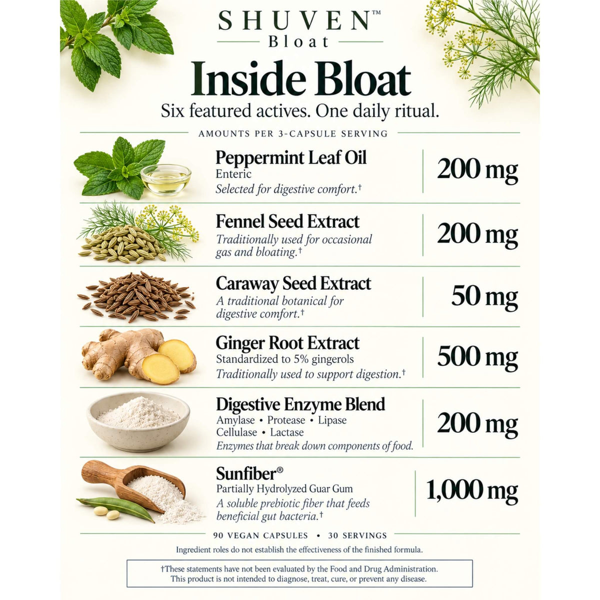 Shuven Bloat ingredient graphic: peppermint oil, fennel, caraway, ginger, digestive enzymes, Sunfiber