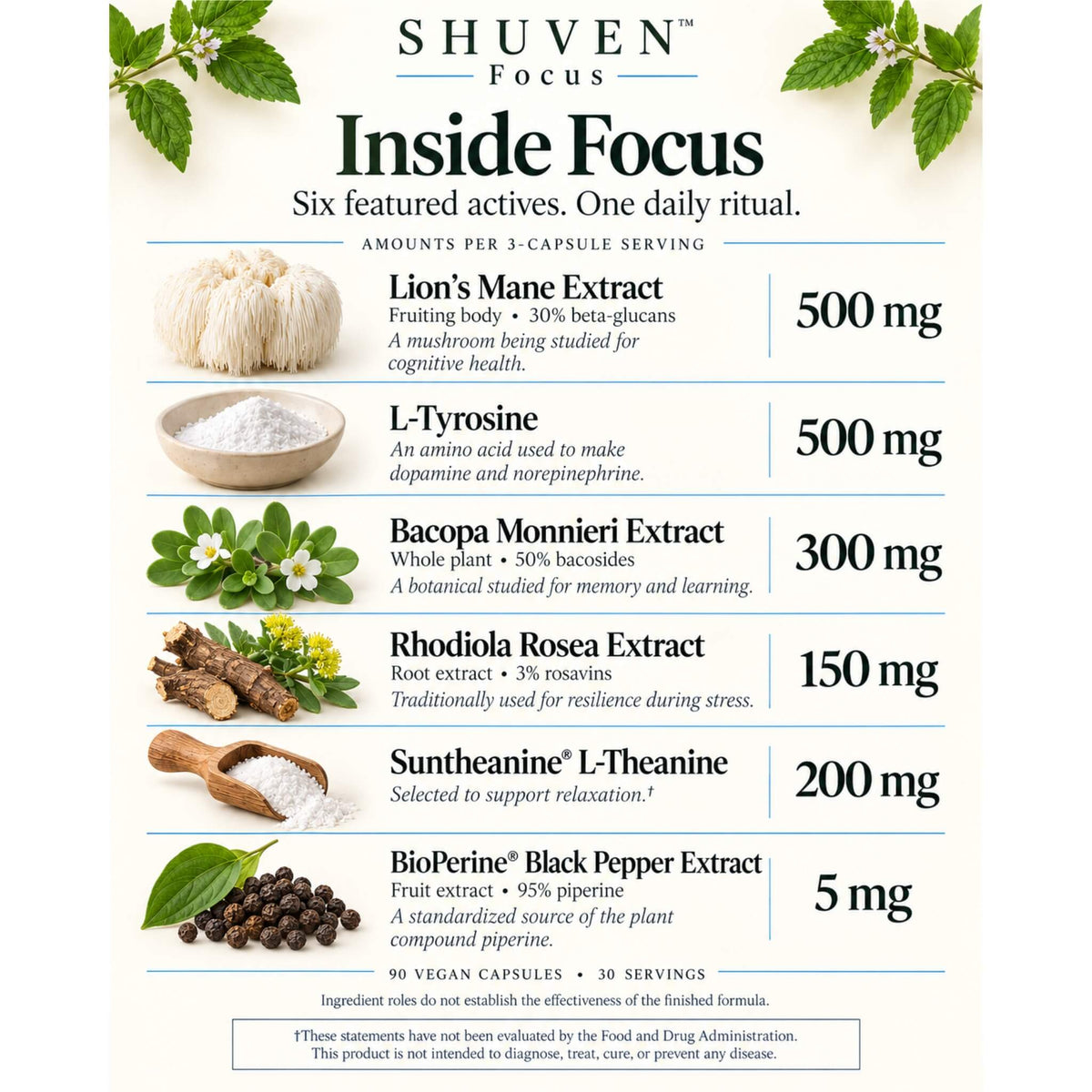 Shuven Focus ingredient graphic: lion's mane, L-tyrosine, bacopa, rhodiola, theanine, BioPerine