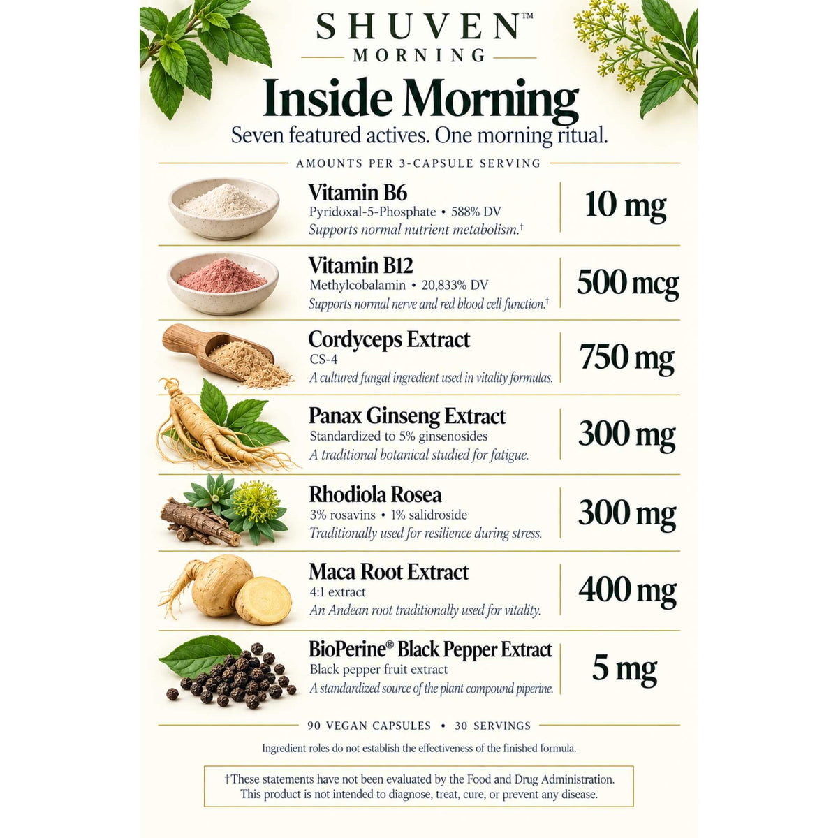 Shuven Morning ingredients graphic: B6, B12, cordyceps, panax ginseng, rhodiola, maca root, BioPerine